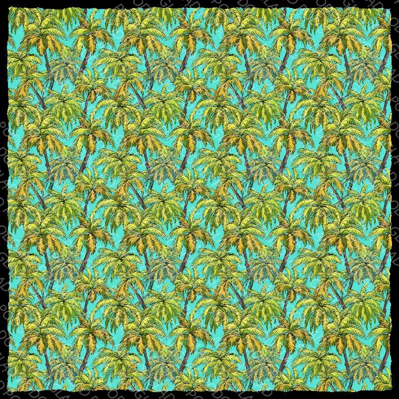 Coconut Trees